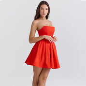 Celine Bandeau Mini Dress